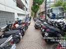 自由二街人行道與喬木