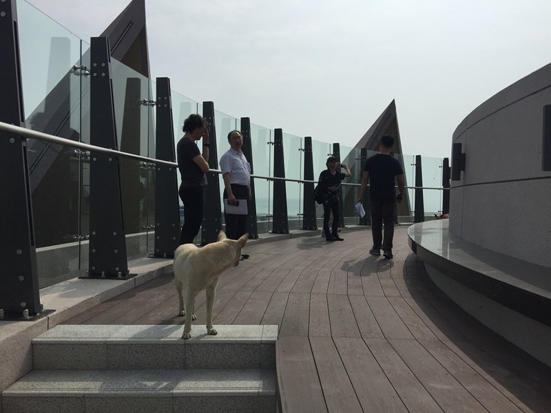 10大安港媽祖文化園區主建物屋頂平台